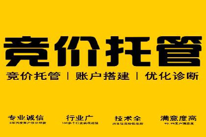 竞价广告策略案例分析